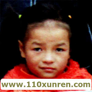 河南贾利红(不明失踪),健康女孩(女儿寻父母)