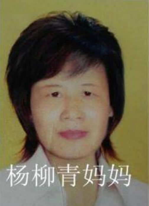 寻找杨柳青,一个头旋断掌纹不详 于2002年8月20日淮北市杜集区石台镇失踪