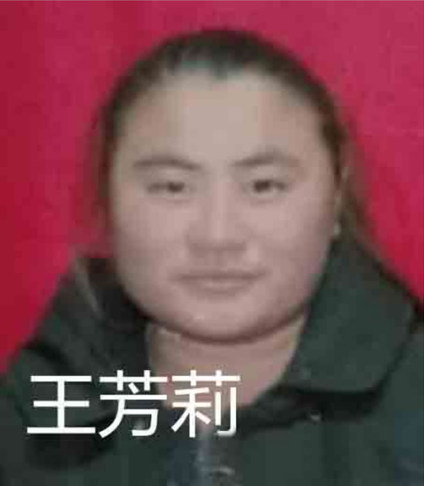 寻找王芳莉,王芳莉女出生于199 于2019年年初河南省濮阳市濮阳县文留镇失踪