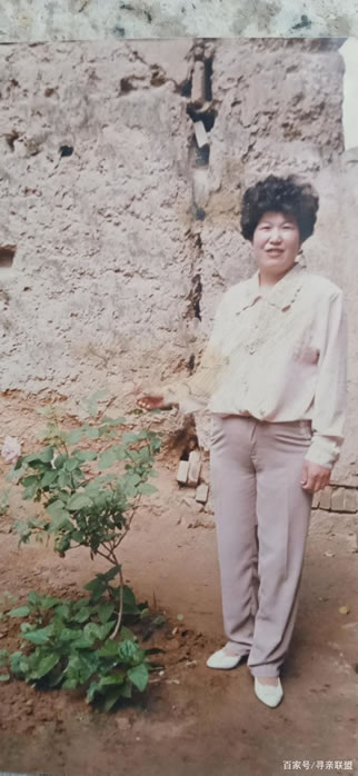 寻找尚麦丽,妈妈体形有一点胖皮肤不 于1997-08-02西省渭南市大荔县失踪