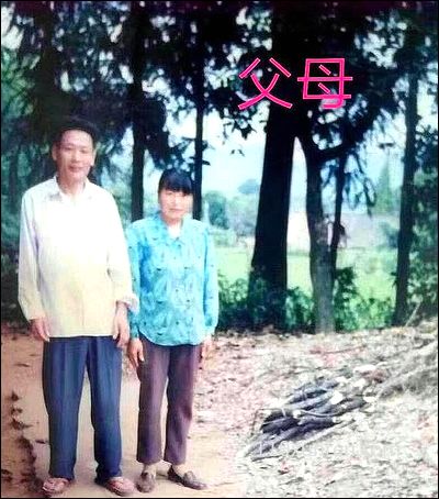 寻亲沈文红:一个头旋圆脸左边胸口 1994年06月10日浙江省金华市火车站附近的某工地失踪