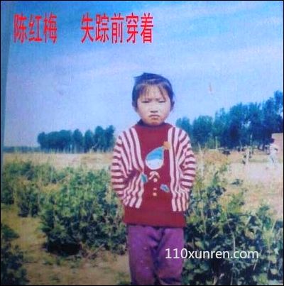 寻亲陈红梅:圆脸后脑平无耳仓大 1993年09月15日河北省廊坊市安次区桐柏镇堤口村小学门口失踪